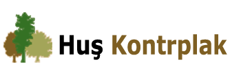 Huş Kontrplak, Birch Plywood